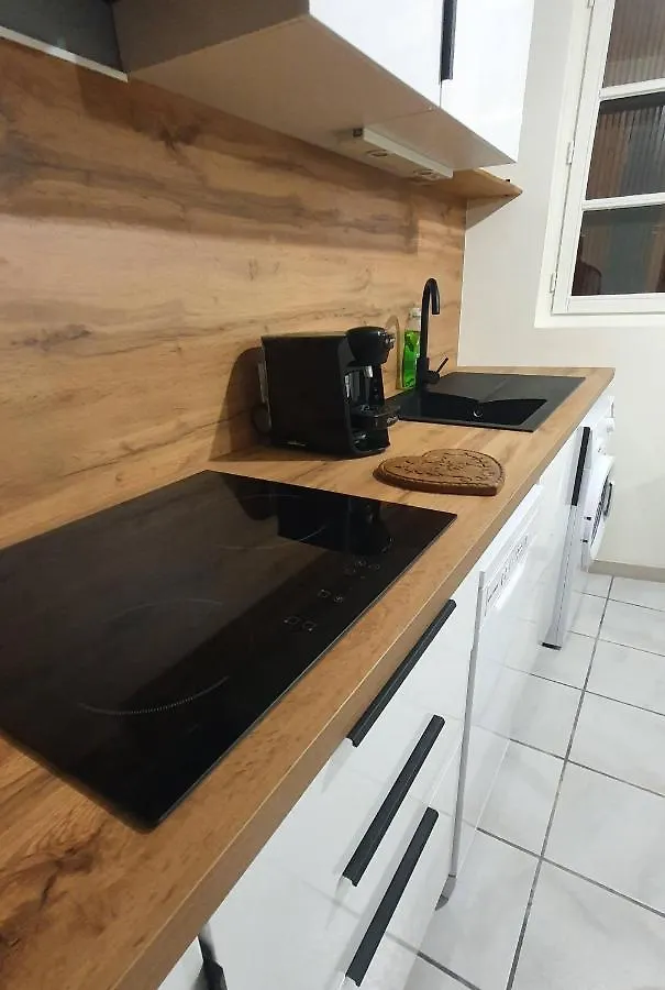 Le Charme De La Verriere Apartment Thiers 0*,